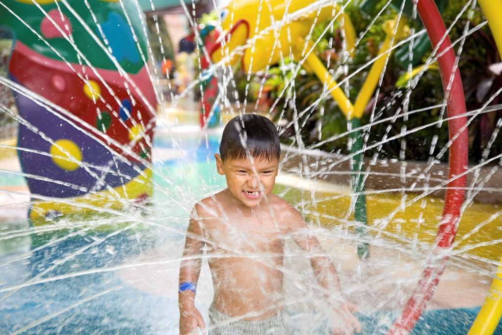 Hilton Garden Inn San Jose/Milpitas Fasiliteter bilde